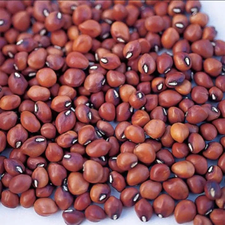Red Cowpea 1 KG - representative filled package; packaging may vary